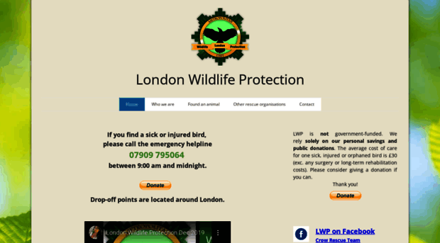londonwildlifeprotection.org