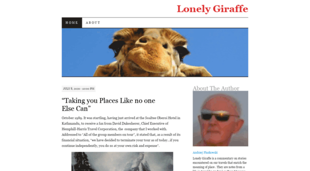 lonelygiraffe.com