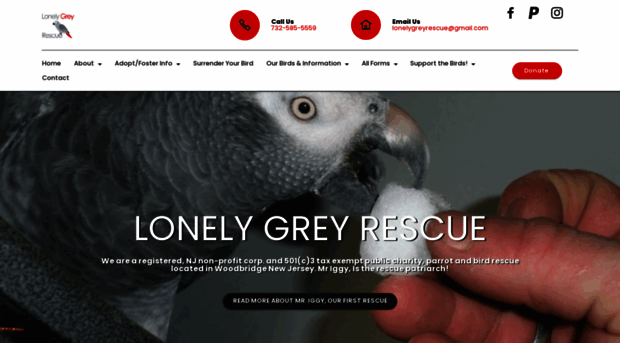 lonelygreyrescue.org