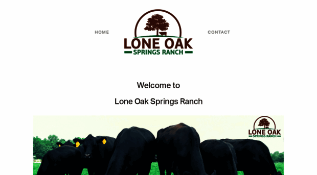 loneoaksprings.com