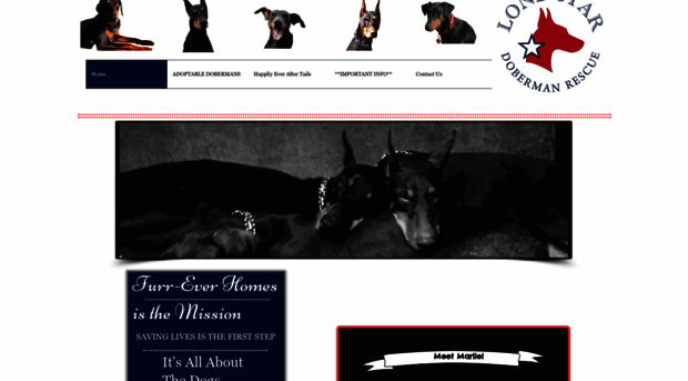 lonestardobermans.org