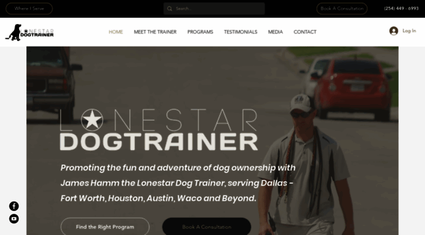 lonestardogtrainer.com