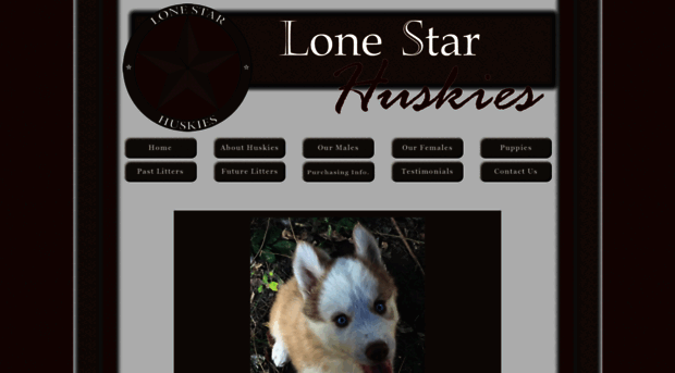 lonestarhuskies.com