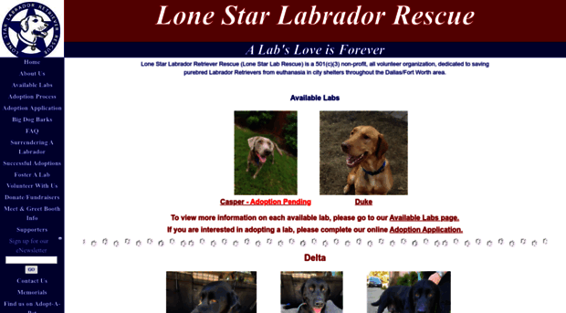 lonestarlabrescue.org