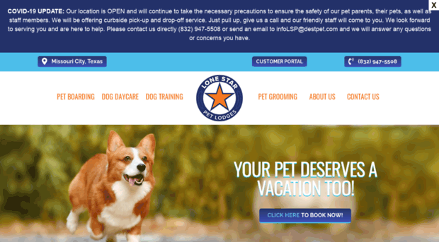 lonestarpetlodges.com