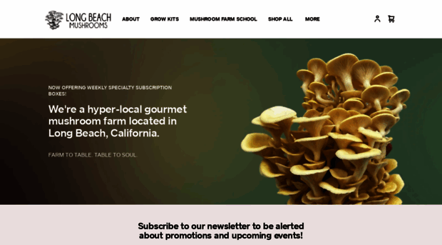 longbeachmushrooms.com