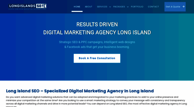 longislandsseo.com