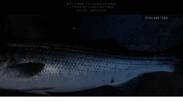 longislandstripers.com
