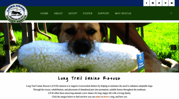 longtraildogs.org