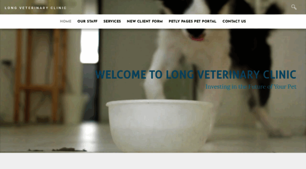 longvetclinic.com