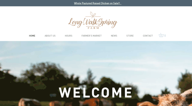 longwalkspring.com