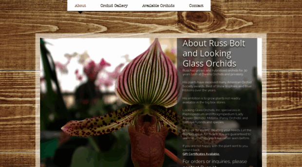 lookingglassorchids.com