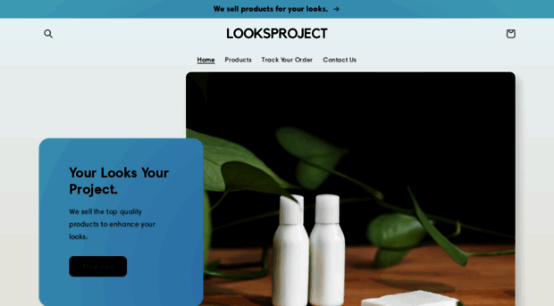 looksproject.com