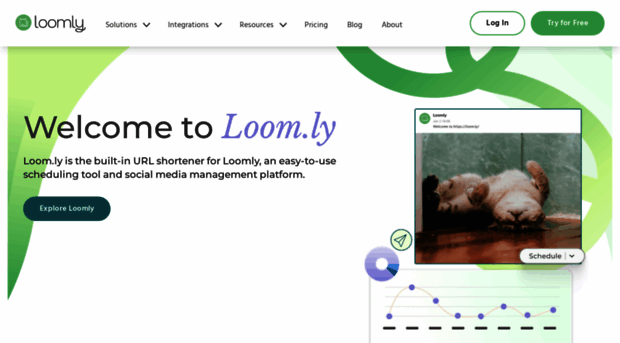 loom.ly