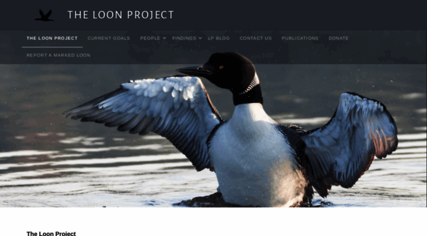 loonproject.org
