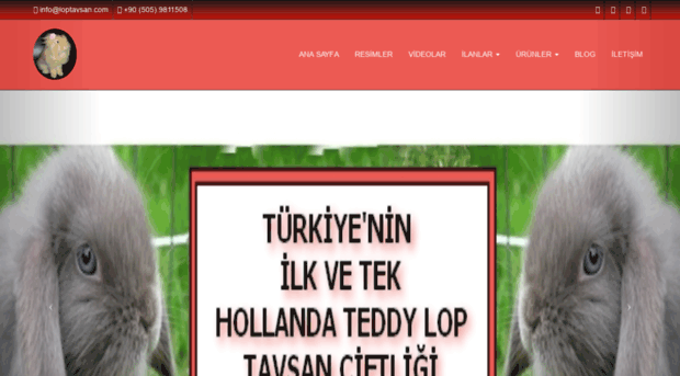 loptavsan.com