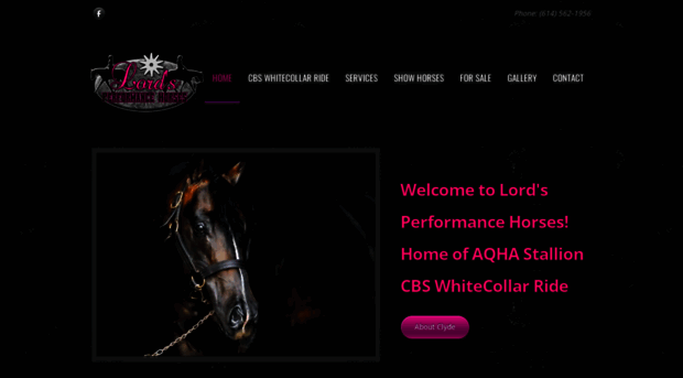 lordsperformancehorses.com
