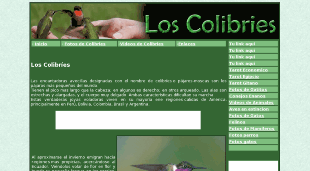 los-colibries.com.ar