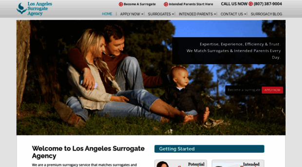 losangelessurrogacy.org