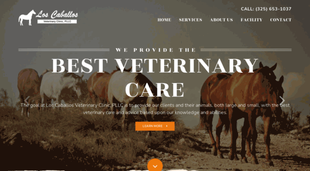 loscaballosvet.com