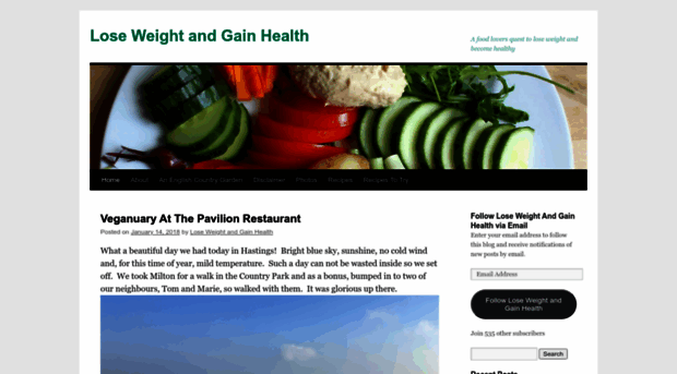 loseweightandgainhealth.com