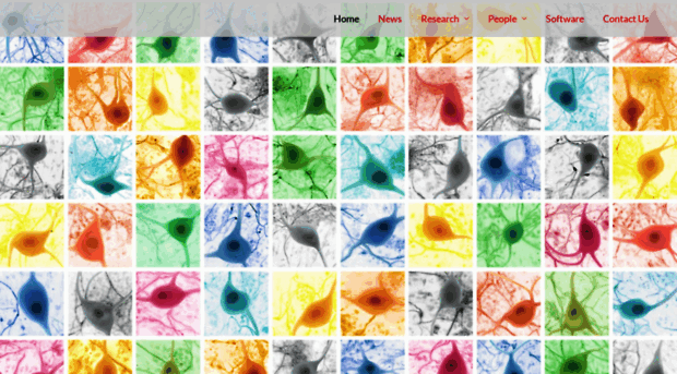 losonczylab.org