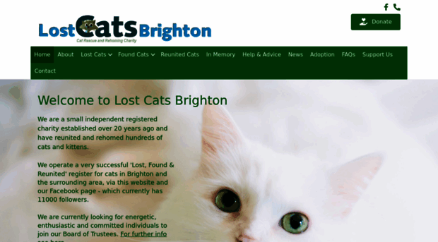 lostcatsbrighton.org.uk