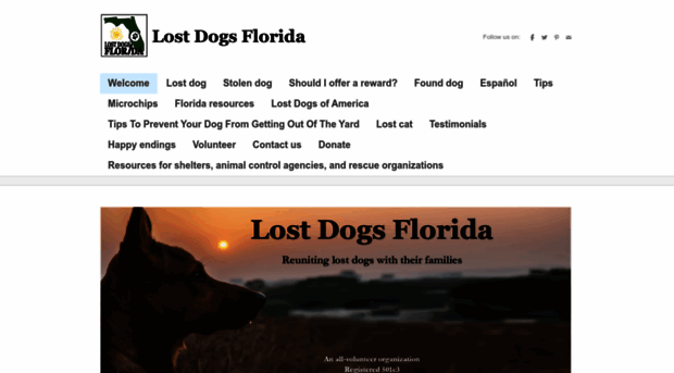 lostdogsflorida.org