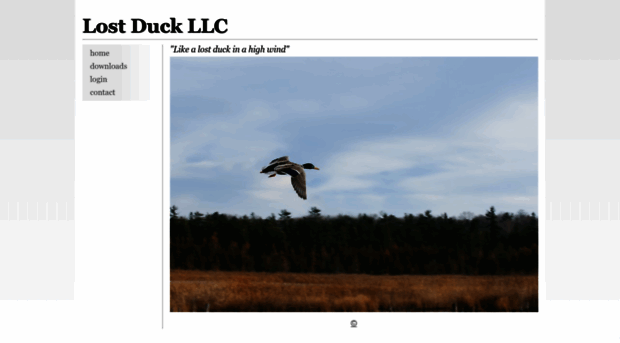 lostduckllc.com