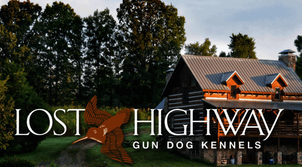 losthighwaykennels.com