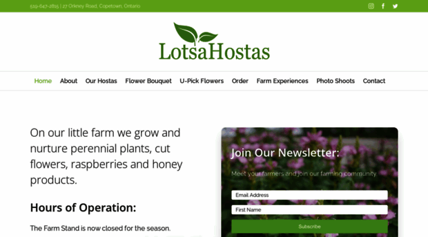 lotsahostas.com