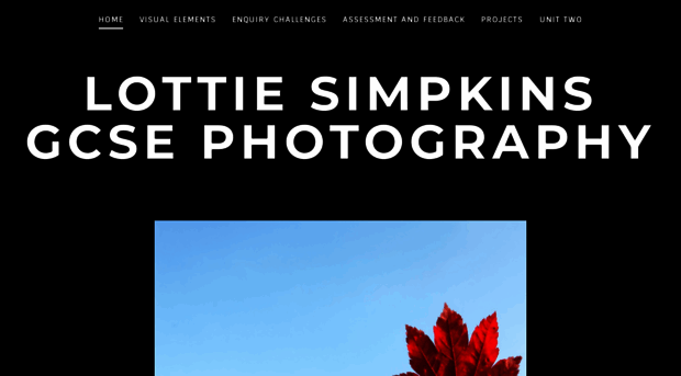 lottiesimpkinsgcsephotography.weebly.com