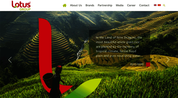 lotusgroup.vn