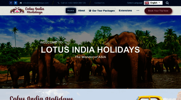 lotusindiaholidays.com