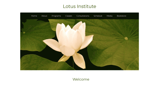 lotusinstitute.com