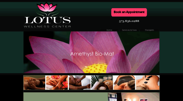 lotusmassagecenter.com