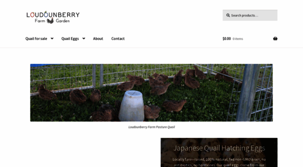 loudounberryfarm.com