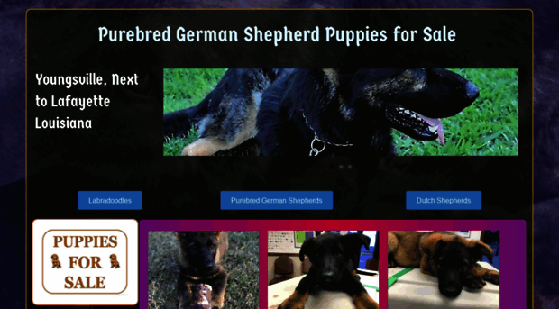 louisianashepherdpuppies.com