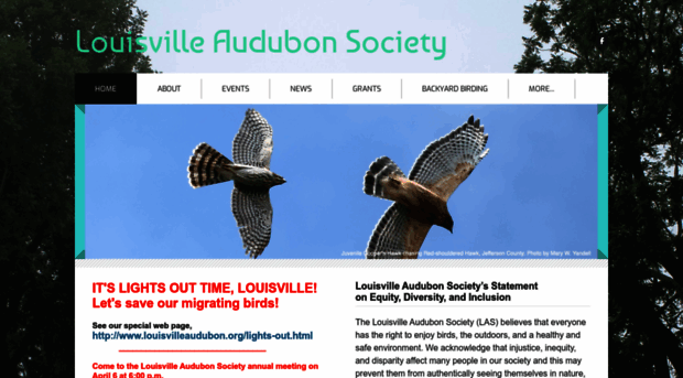 louisvilleaudubon.org