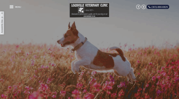 louisvillevetclinic.com