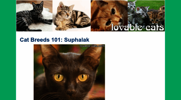 lovable-cats.com