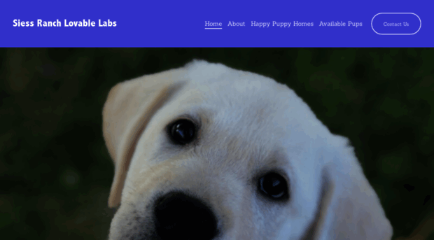 lovablelab.com