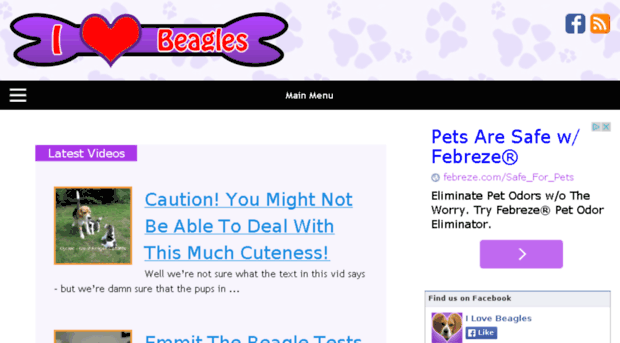 love-beagles.com