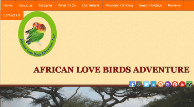 lovebirdsadventure.com