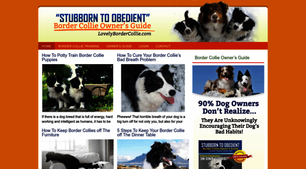 lovelybordercollie.com