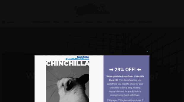 lovemychinchilla.com