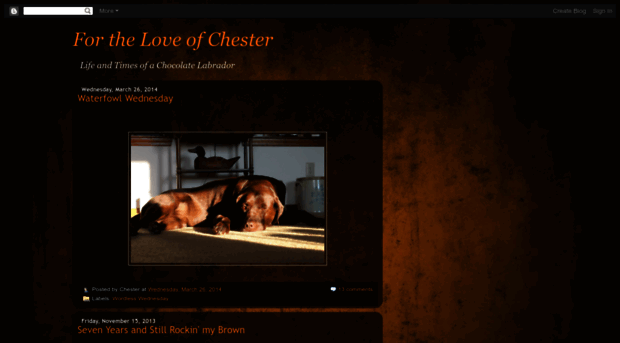 loveofchester.blogspot.com