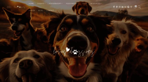 lovesdogs.org