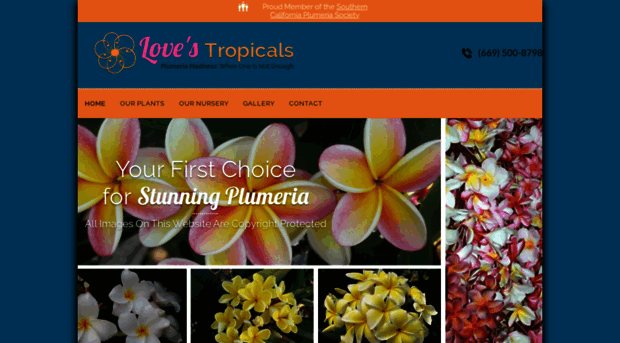 lovestropicals.com