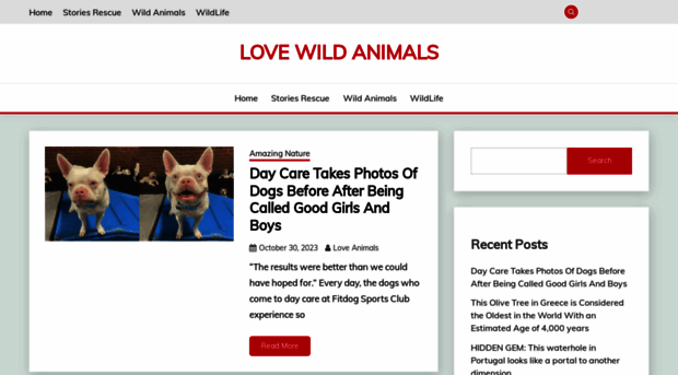 lovewildanimals.com